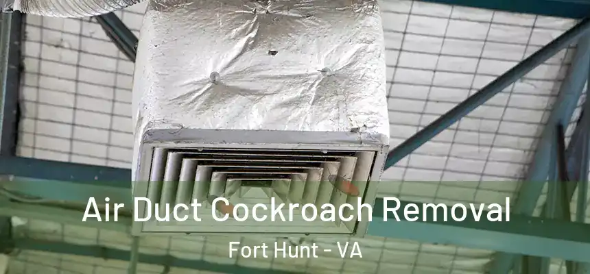 Air Duct Cockroach Removal Fort Hunt - VA