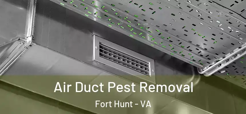  Air Duct Pest Removal Fort Hunt - VA