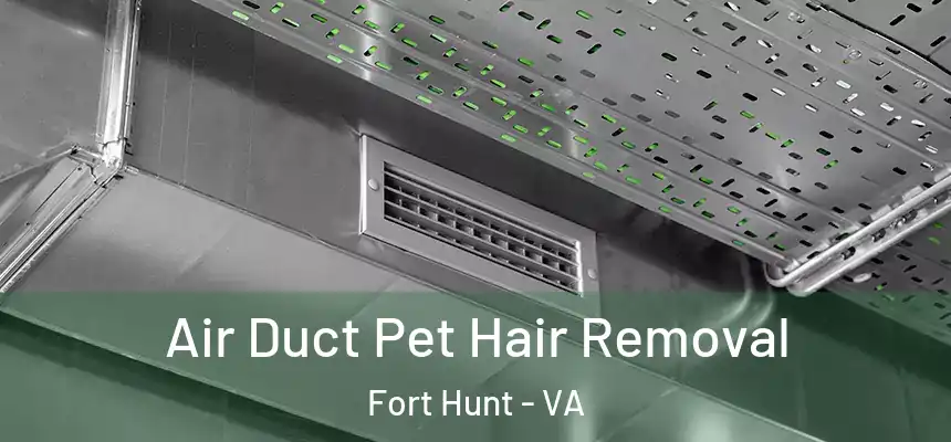 Air Duct Pet Hair Removal Fort Hunt - VA