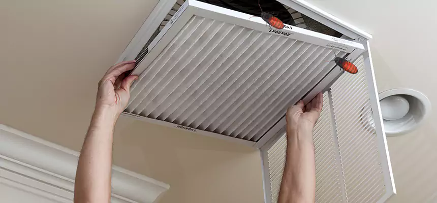Preventive Cockroach-Proofing for Ducts in Fort Hunt