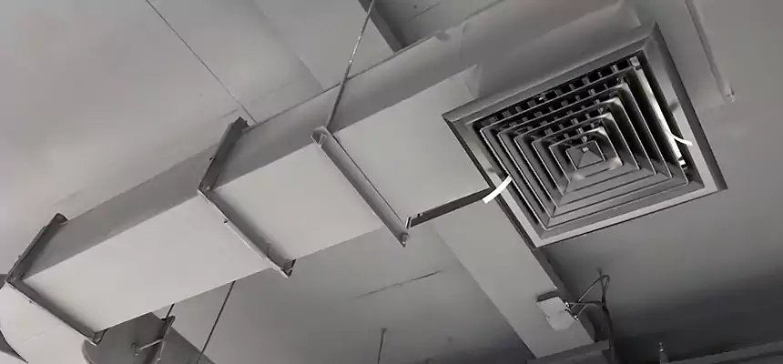 Restorative Allergy Relief Vent Cleaning – Coil, Blower & Housing Detail in Fort Hunt