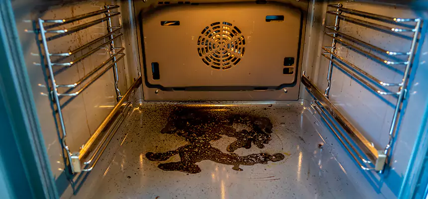 Our Dryer Vent Mold Cleaning Services in Fort Hunt, VA