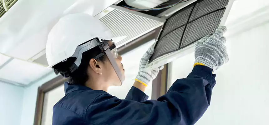 Our Mold & Mildew Removal from Air Ducts Services in Fort Hunt, VA