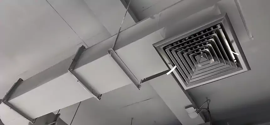 Our Pest Removal From Ducts Services in Fort Hunt, VA