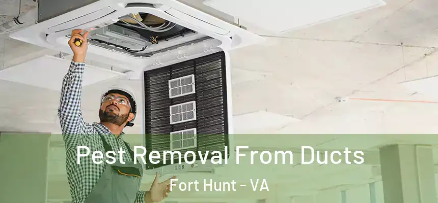  Pest Removal From Ducts Fort Hunt - VA