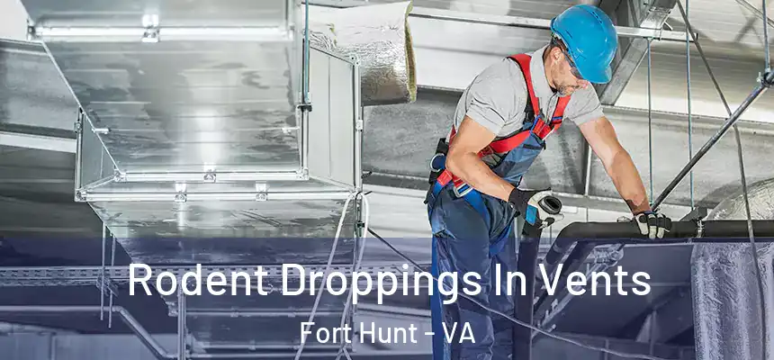  Rodent Droppings In Vents Fort Hunt - VA