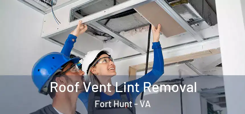  Roof Vent Lint Removal Fort Hunt - VA