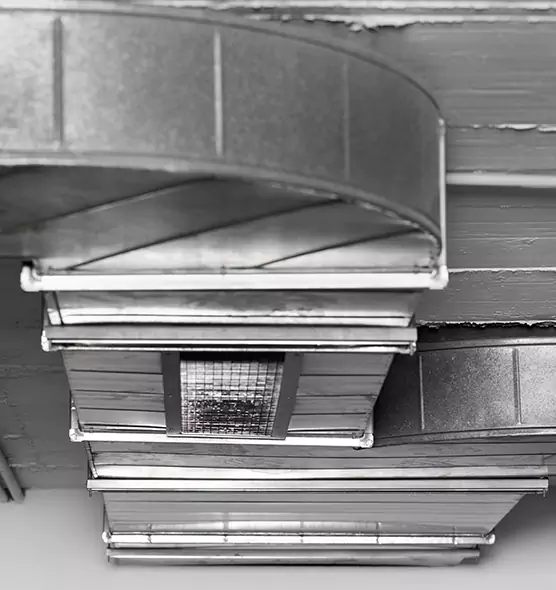 Professional Air Duct Pet Hair Removal in Fort Hunt, VA