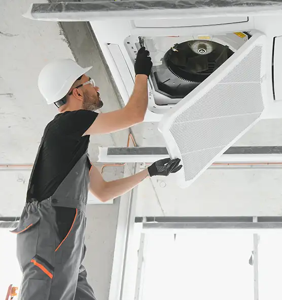 About Air Duct Rodent Removal in Fort Hunt, VA