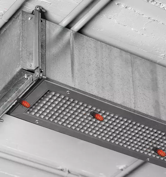 Affordable Insect Removal from Air Ducts in Fort Hunt, VA