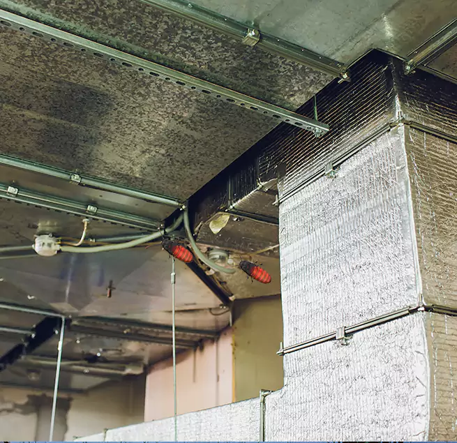 Why Homeowners & Businesses Trust Us in Fort Hunt, VA?