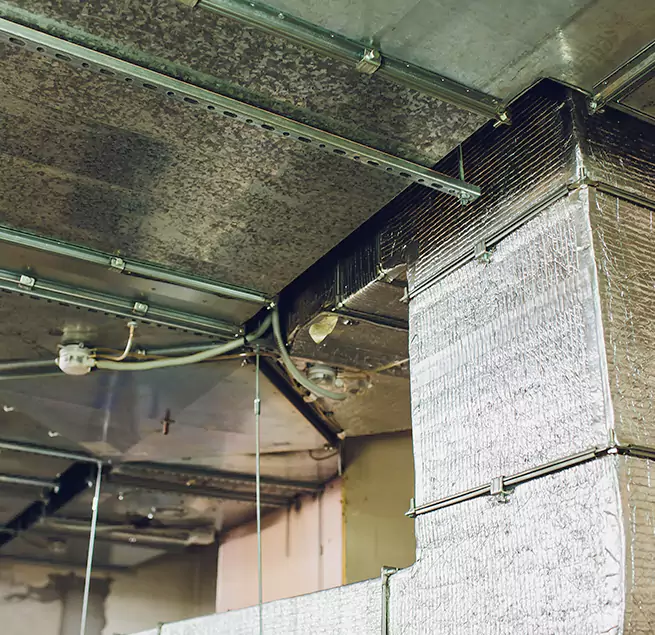 Why Homeowners & Businesses Trust Us in Fort Hunt, VA?